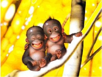 les jumeaux